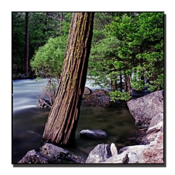 Trademark Fine Art Yosemite I by Preston-35x35 Ready to Hang Art, 35x35 EM047-C3535GG